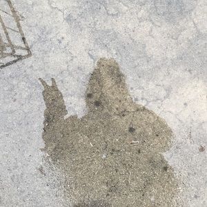 Meet your Posher, Sonia